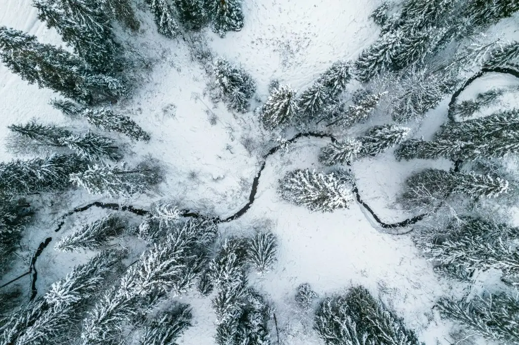 Winter Landscape with Frozen River. Top Down Drone View