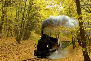 Old steam train in a beautiful golden forest in Budapest, Hungary