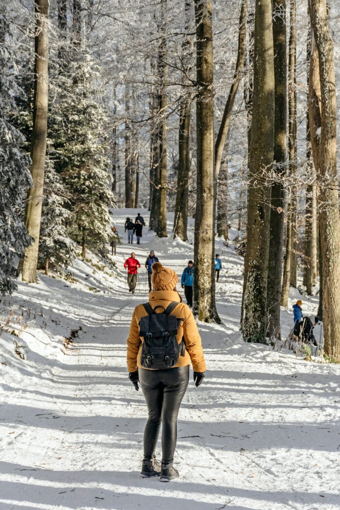 Rear view of woman hiking in forest. Female hiker wearing yellow winter jacket and backpack.