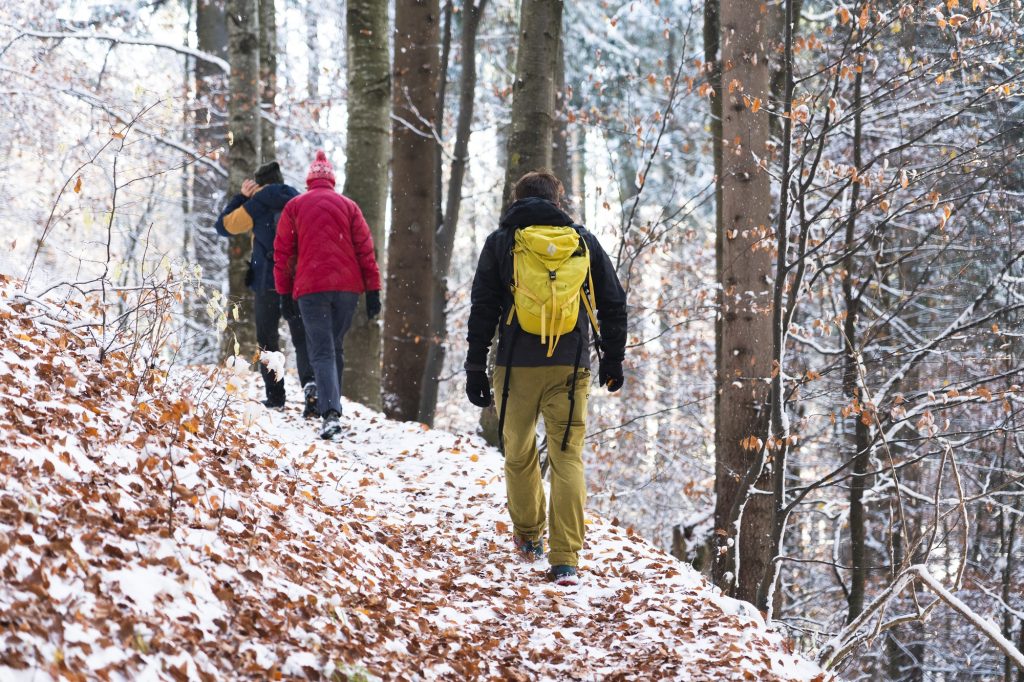 Three people hiking through a forest in winter