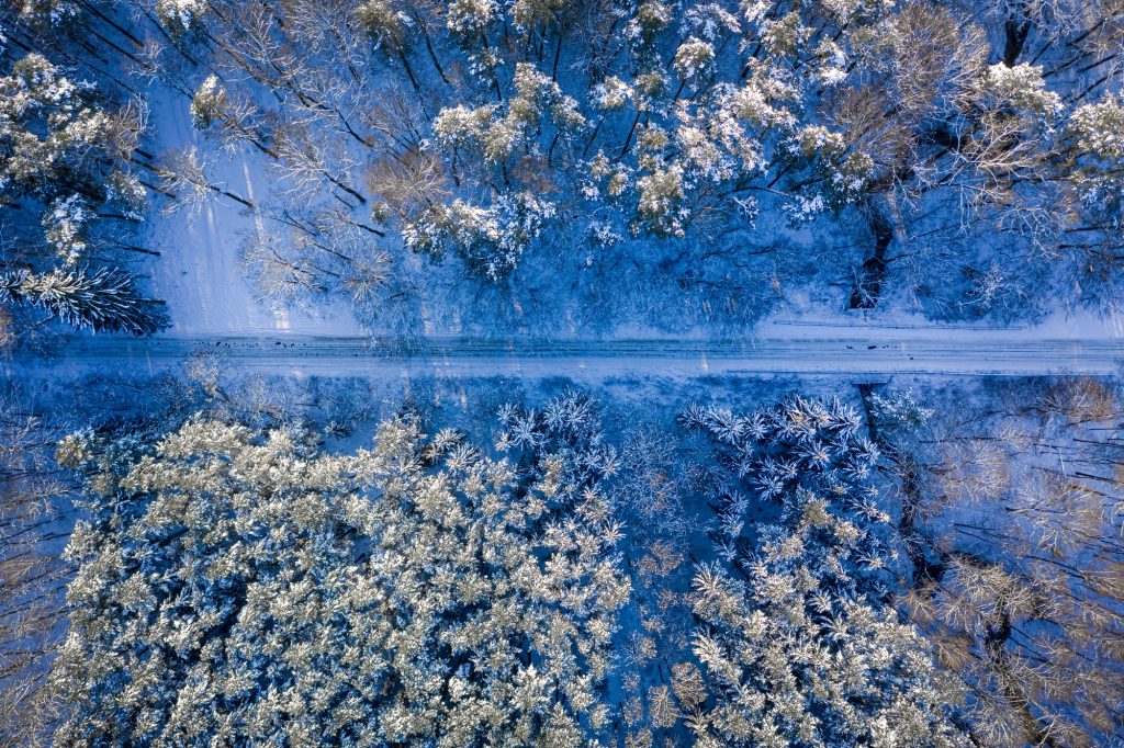 Transport in winter. Snowy road and forest in winter.