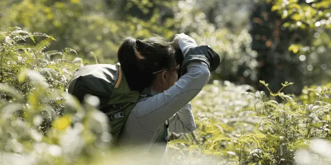 a photographer woman taking photo in the forest